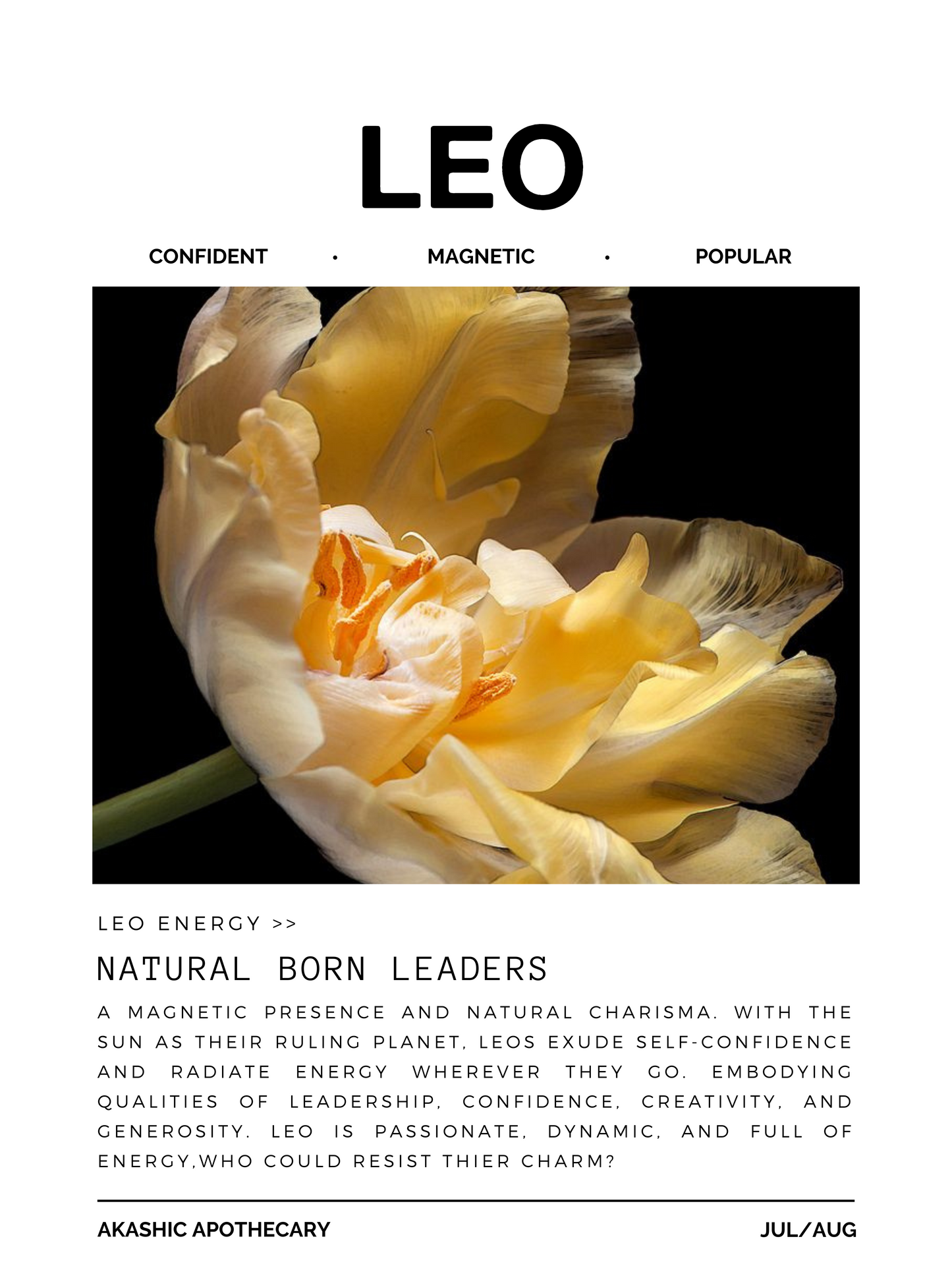 Leo Zodiac Poster