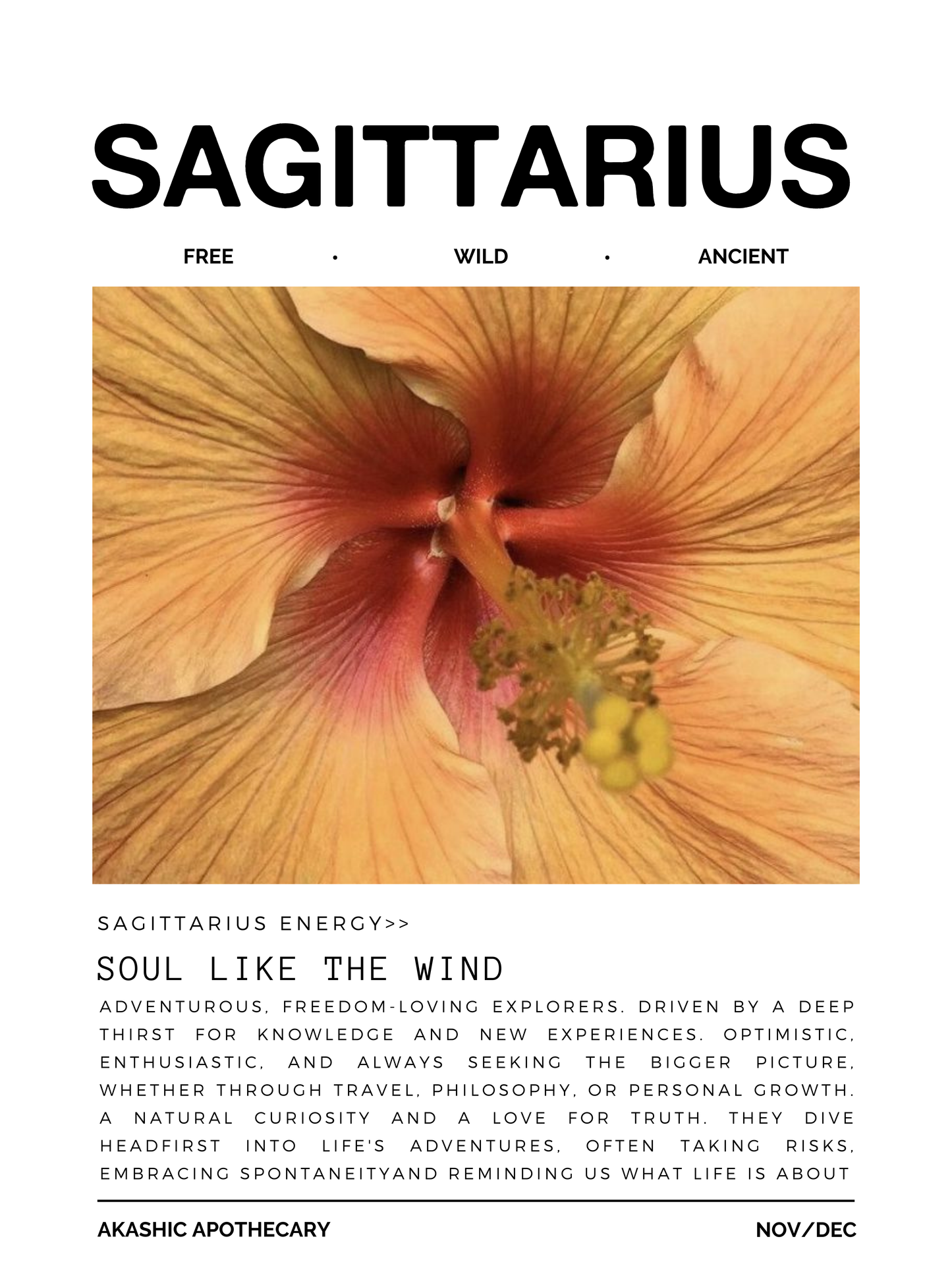 Sagittarius Zodiac Poster