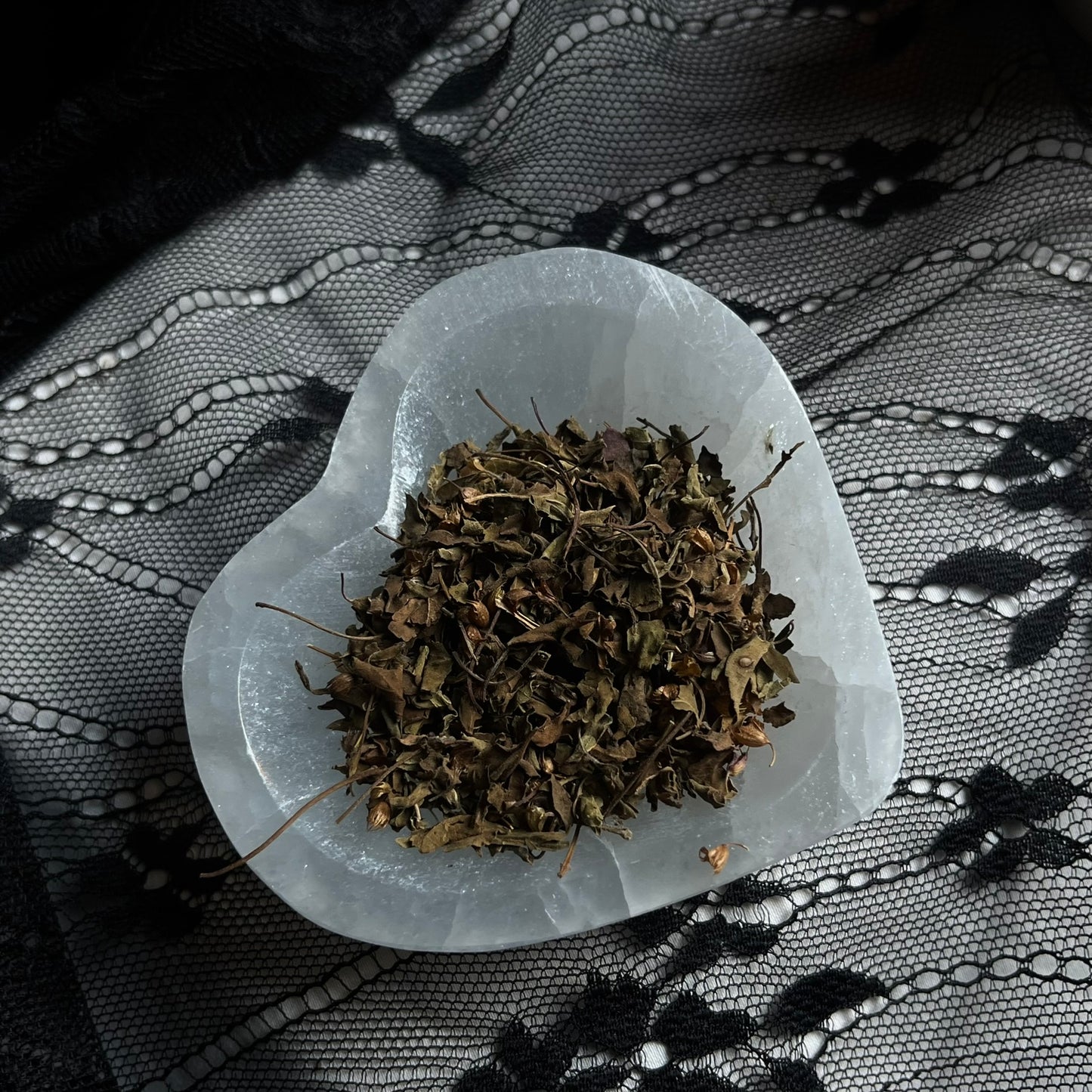 Organic Tulsi (Holy Basil)