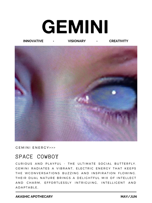 Gemini Zodiac Poster