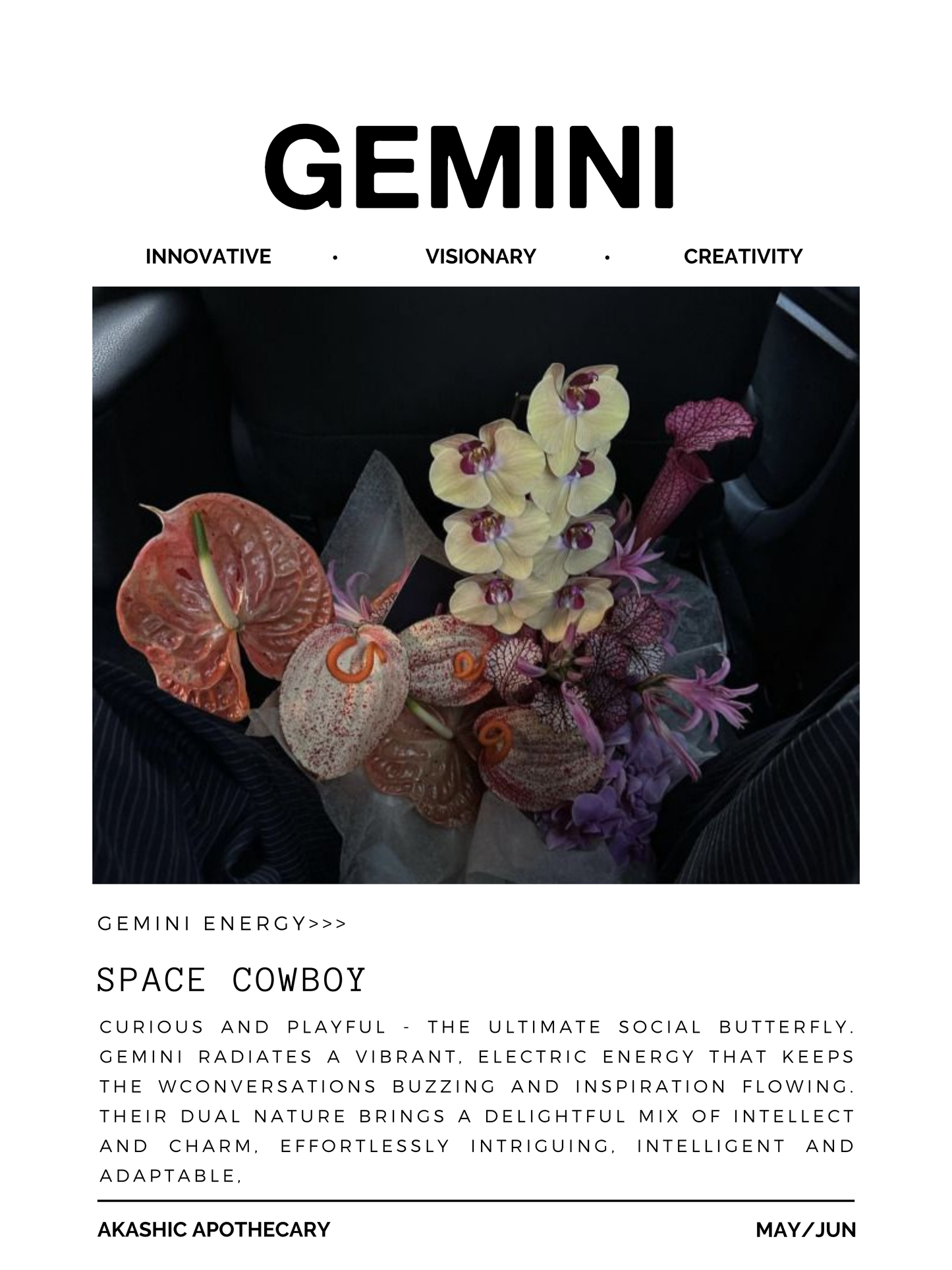 Gemini Zodiac Poster