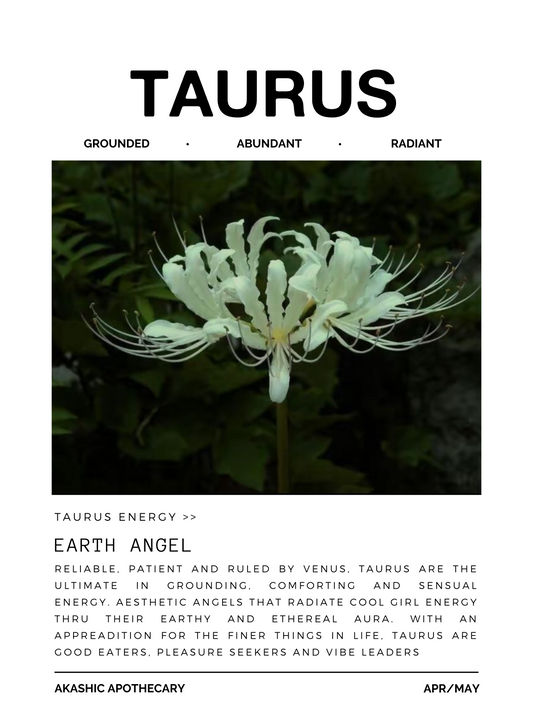 Taurus Zodiac Poster